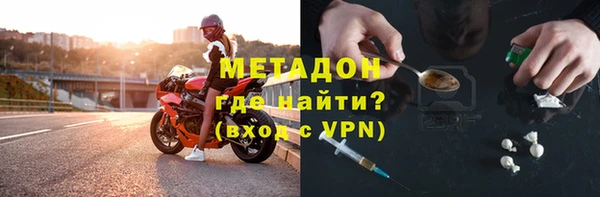 хмурый Тайга