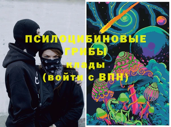 МДПВ Осинники