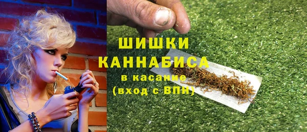 МДПВ Осинники